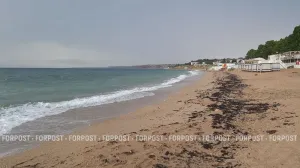 На пляжи Севастополя и Крыма море вынесло сгустки пальмового масла