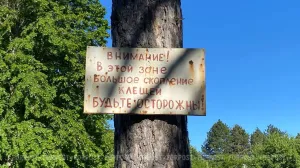 В Крыму зафиксировано почти 2 тысячи укусов клещей с начала сезона