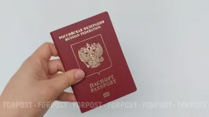 Россиян напугали платным въездом в соседнюю страну