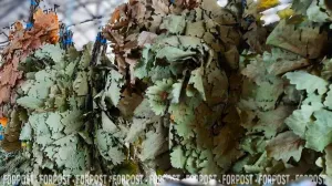 Банный эпос по-севастопольски: десять лет париться и ни разу не помыться