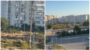 В Севастополе взорвали автомобиль, на месте работают спецслужбы