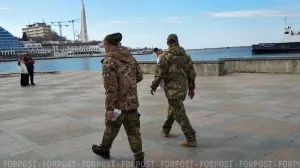 Отстаивать интересы ветеранов СВО в Севастополе будет Герой России