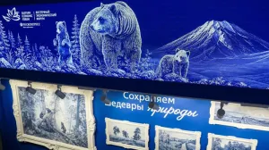 Исследование ВТБ и Литрес: 79% россиян назвали медведя главным символом силы духа и мудрости русского человека