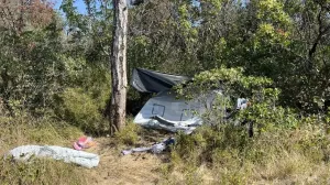 В лесу под Севастополем нашли тело с рублеными ранами — задержан турист из Сочи