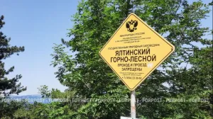 Огонь вернулся в Ялтинский заповедник