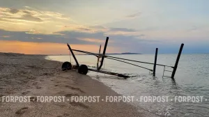 Азовское море достигло рекорда своей солёности. Что будет с рыбой