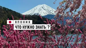 Сакура, Фудзи и мечта. Как россияне покоряют Японию и на чём экономят
