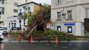 В Крыму из-за непогоды без электричества более 10 населённых пунктов