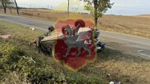 В Крыму водитель погиб после столкновения автомобиля с деревом