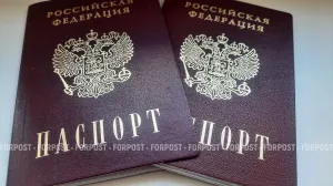 Оформить брачный договор стало проще — что изменилось