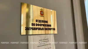 Россияне могут столкнуться с проблемами из-за старых загранпаспортов