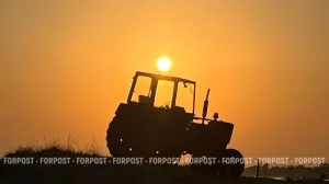 Хороший урожай и плохой бизнес: что пошло не так у крымских аграриев
