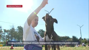 В Севастополе впервые прошёл четвероногий чемпионат