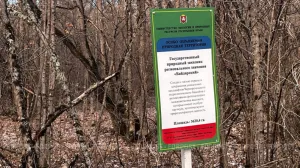 В севастопольском заказнике хотели построить ангар c удобствами