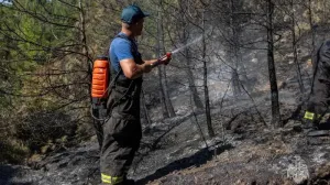 В Севастополе атаки ВСУ назвали причиной всех лесных пожаров этого года 