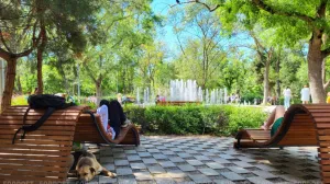 Парков много, а денег мало — как Севастополь выглядит в рейтинге городов России