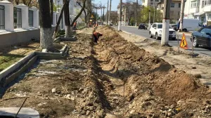 Лишившуюся деревьев улицу в Севастополе обещают озеленить