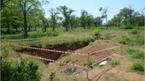 Прокуратура вернула 7 Га земли в парке «Учкуевка»