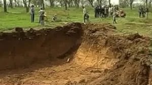 Отвоеванный парк: парк Учкуевки не стал дачным поселком