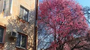 Севсети#199. Варварский девелопмент и оползень на Восставших