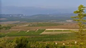 Передача в аренду земли предприятию «Агрофирма «Золотая балка» пополнит бюджет и решит социальные проблемы его работников