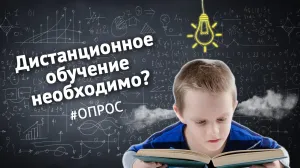 Что в Севастополе думают о дистанционном обучении. ForPost-опрос
