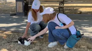 В Севастополе не стали считать голосовавших на дому