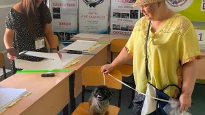 В Севастополе огласили первые цифры по итогу губернаторских выборов