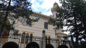 В «Одноклассниках» и «ВКонтакте» стартует проект #Музеи Говорят