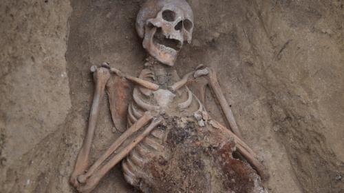 ForPost- Под «Тавридой» нашли сотни скелетов