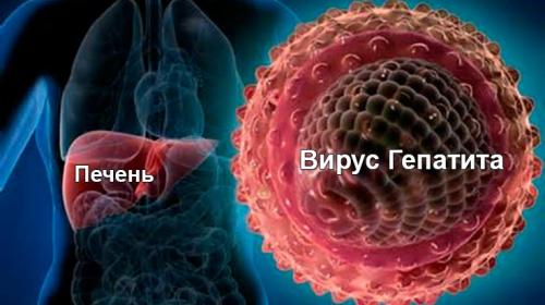 ForPost - В России произошел скачок заболевания острым гепатитом А