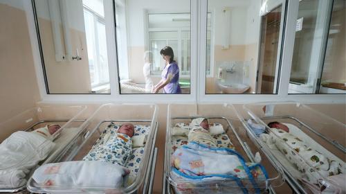 ForPost - Минобрнауки планирует отнести рождение детей к достижениям при поступлении в вуз