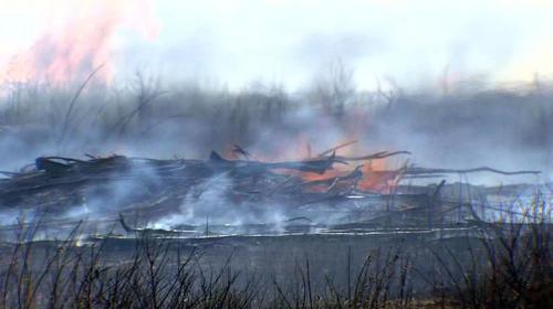 ForPost - В Приамурье удалось стабилизировать ситуацию с лесными пожарами