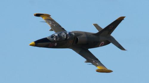 ForPost - Летчики разбившегося Л-39 успели катапультироваться над Азовским морем