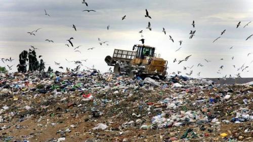 ForPost- В Севастополе обещают построить мусороперерабатывающий завод в виде эко-парка