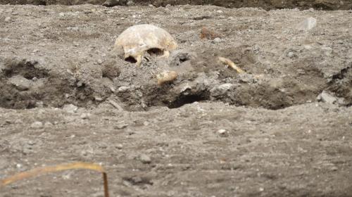 ForPost- В Севастополе обнаружили херсонесита со «вторым скелетом»