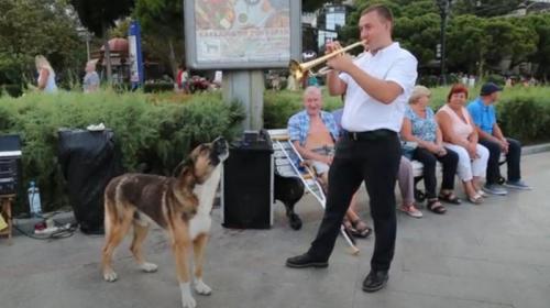 ForPost- В Ялте трубачу и его поющей собаке разрешили уличные концерты