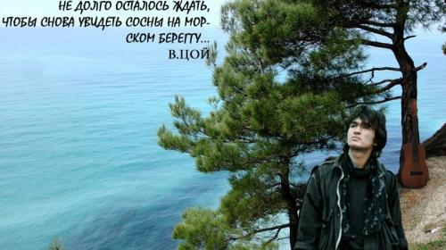 ForPost - В памятник группе «Кино» в Крыму закатали строительный мусор ForPost - В памятник группе «Кино» в Крыму закатали строительный мусор