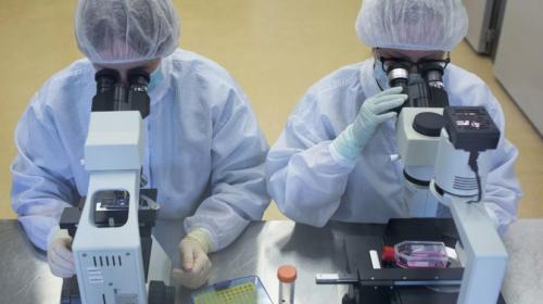 ForPost - Вирусолог заявил о необычности распространения коронавируса в России Короткая ссылка ForPost - Вирусолог заявил о необычности распространения коронавируса в России Короткая ссылка