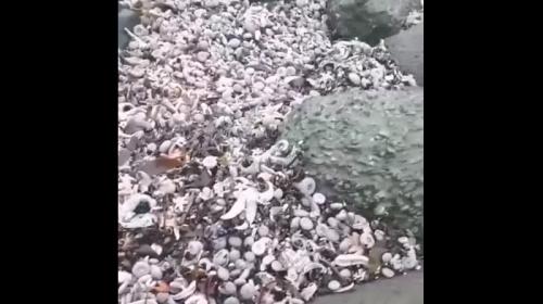 ForPost - Минобороны прокомментировало загрязнение воды на Камчатке