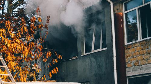 ForPost- Огонь, вода, много дыма и три спасенных кота – в Севастополе потушили крупный пожар 