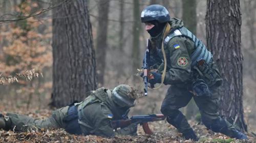 ForPost - Украина получит новый пакет Целей партнерства с НАТО, заявили в Киеве