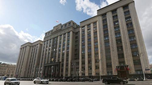 ForPost - Законопроект о запрете на услуги суррогатных матерей для иностранцев внесли в Госдуму