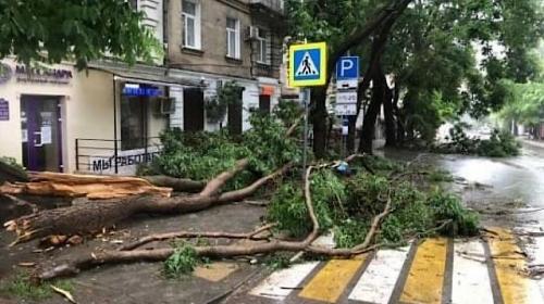 ForPost - Севсети # 1256. Севастопольские мародёры, подсчёт урона и возвращение платного моря