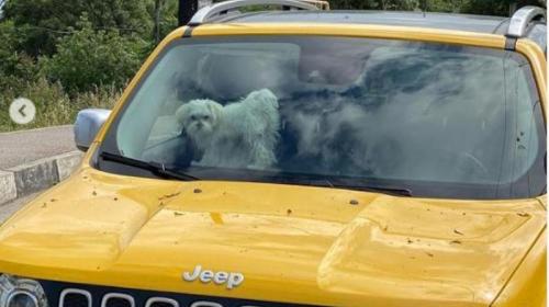 ForPost - Известный актер отправился в Крым с новой молодой женой ForPost - Известный актер отправился в Крым с новой молодой женой