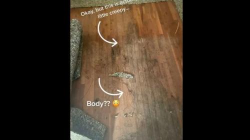 ForPost- Женщина обнаружила следы таинственной смерти в своём доме