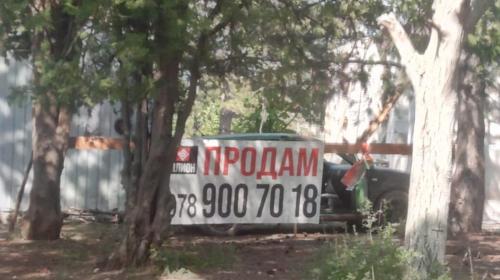 ForPost - В Севастополе посреди соснового бора возводят коттеджи