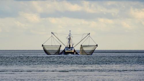 ForPost- В Севастополе идёт работа над линейкой новых рыболовецких судов