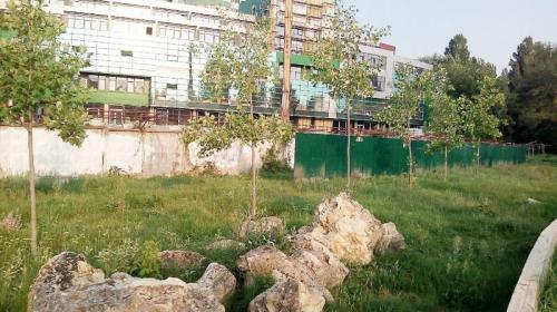 ForPost- Строители захватили часть главного парка в столице Крыма незаконно