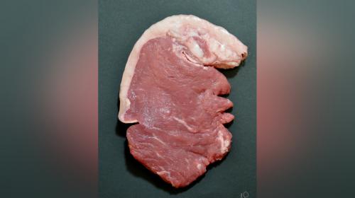 ForPost- Мужчина потратил полгода, чтобы сделать фотографию мяса